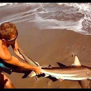 Saltwater Fishing for Blacktip Sharks