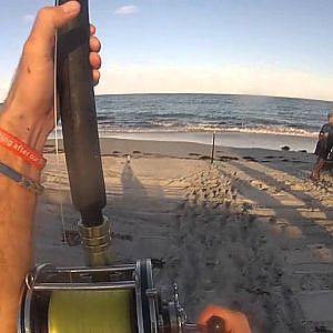 Beach Fishing For Sharks!