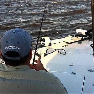 Bull Shark Fishing with Avet reel