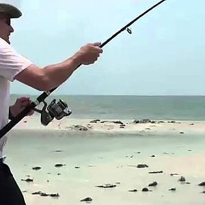 Black Tip Shark caught off Cape San Blas, FL