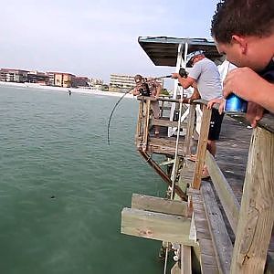 Shark fishing in Madeira Beach Fl