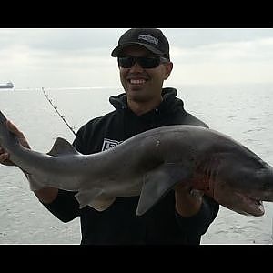 San Francisco Shark Fishing!