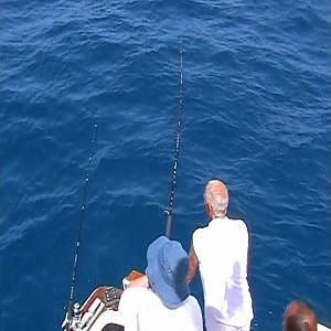 Fishing Lanzarote Mako Shark