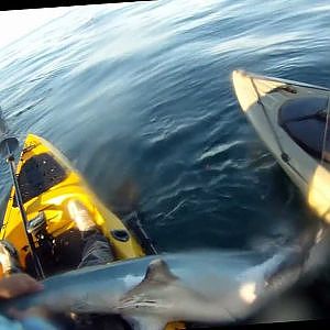 Fishing Diaries 13 - La Jolla Kayak Fishing - Thresher Shark
