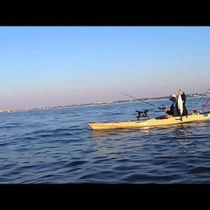 Kayak Fishing - 300lb Bull Shark and Kings