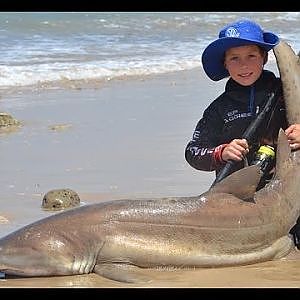 Shark fishing in South Africa
