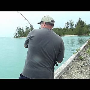 Tarpon and Shark fishing Grand Bahama
