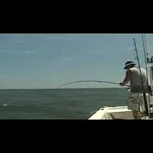 Topsail Island Fishing, Fly Fishing for Shark
