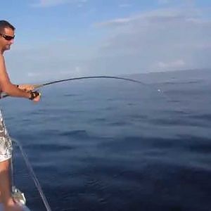 Shark Attack Fishermans Big Tuna - Crazy Shark Fishing Video