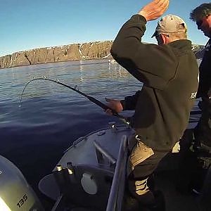 Team Flatfisk kveite 104 kg Halibut fishing