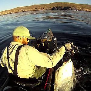 20# Halibut - San Clemente Islands