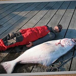 BC Halibut Fishing Trips - Fishing Storie Charters - Kyuquot Sound