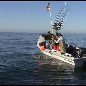 Halibut Fishing - Fisherman Pukes