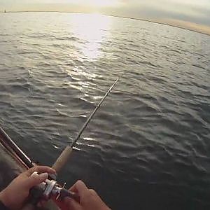 Halibut Fishing from Kayak