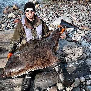 Ruijanpallasta Pohjois-Norjassa, Halibut fishing in Norway