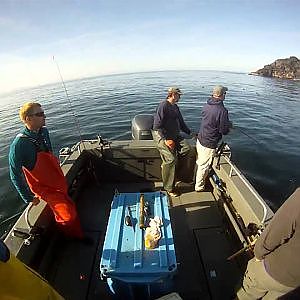 Silvers and a Barnie Halibut