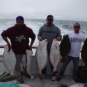 Monster Halibut, Channel Islands Sports Fishing, California Halibut