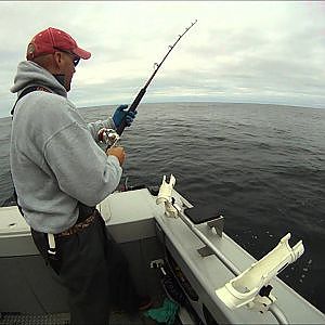 Halibut & Lings with GoPro