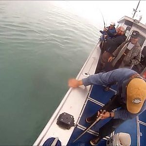 120 Pound Alaska Halibut Catch Video