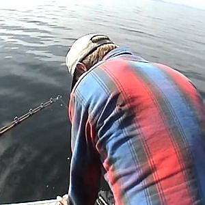 HALIBUT FISHING IN THORNE BAY ALASKA