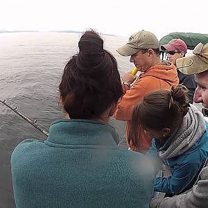 Halibut Fishing in Prince William Sound