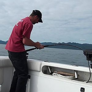 85lb Halibut Ketchikan, Alaska