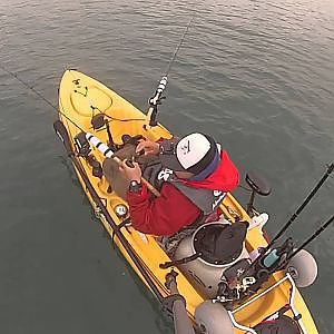 Dana Point kayak fishing Feb,2014