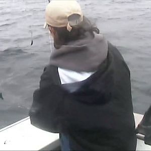 Juneau Fishing Halibut, Salmon