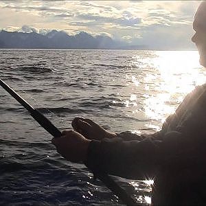 heilbot halibut dildo fishing