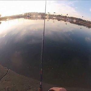 Halibut fishing Marina Del Rey.