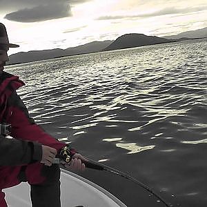 Thunder Fishing Team fighting 130 lb Halibut with Spinal 150 in TromsÃ¸ Norway