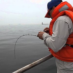 깜밥님 칠짜광어 70cm over Halibut Landing in 보령 [ 몽셔날 피싱그라피 - Mongtional Fishing Graphy ] Canon 5D Mark II