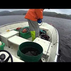 Linefiske i Kåfjorden, Lindesnes