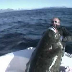 www.Xtremfishing.de-Fischen auf Heilbutt