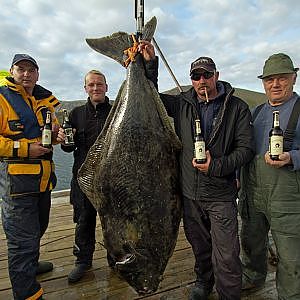 Heilbutt Anlagen Rekord Rolvsoya  ( 2 Meter & 186 Pfund )