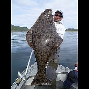 Heilbutt angeln in Norwegen, Havoysund