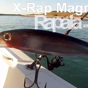King Mackerel Fishing Rapala X-Rap Magnum 30 High Speed Trolling