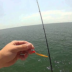 Spanish Mackerel Fishing at the Sunshine Skyway Fishing Pier