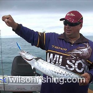 How to catch Spotty Mackerel