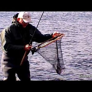 Lachs und Meerforelle auf Bornholm