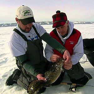 Eelpout Action