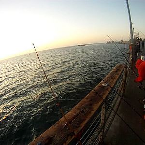 epic big mackerel battle at redondo pier