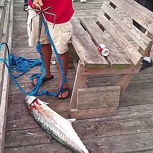 Todd catching a 19 pound King Mackerel off Seaview Fishing Pier 9-30-12