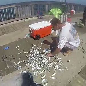 Pompano Pier Fishing (Jacks, Runners, and Mackerel)