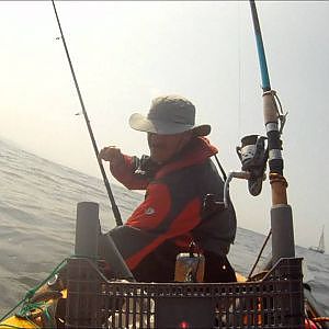 pesca de cavalas no mar em Kayak Mackerel Fishing