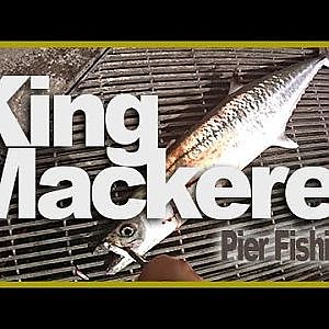 [Pier Fishing #15] Okaloosa island (May 14, 2012) - King Mackerel