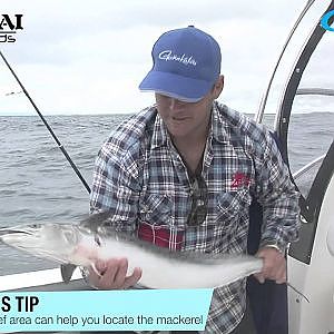 How to catch Mackerel