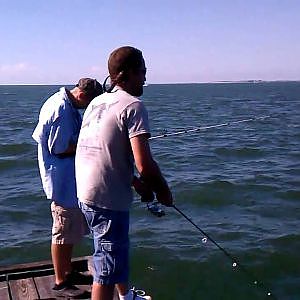 Mackerel fishing at The Anna Maria City Pier