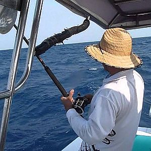 First Born At the Shelf Off Cairns