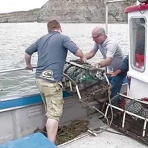 Holy Mackerel!  Fishing and Foraging off the Coast of North Yorkshire